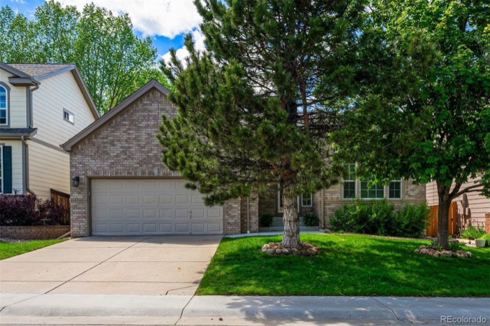10267 Amethyst Way, Parker